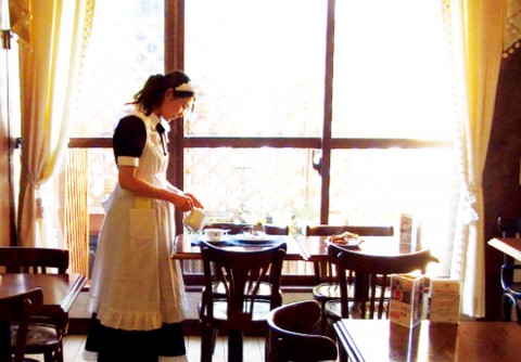 cure maid cafe’  [Maid Cafe]  ~Akihabara~