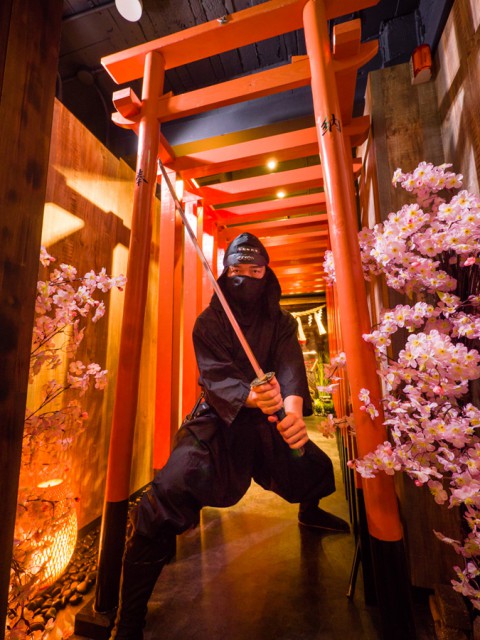 NINJA TRICK HOUSE IN TOKYO[Ninja Experience]~Shinjuku~